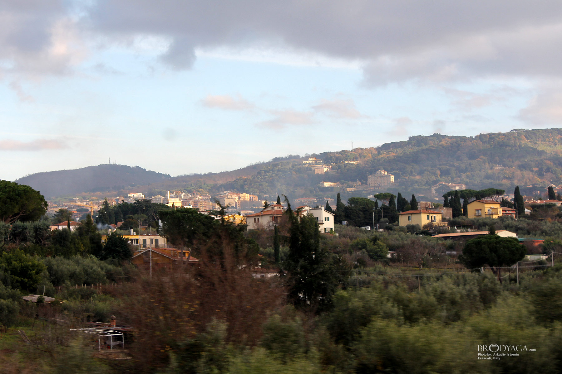 Frascati